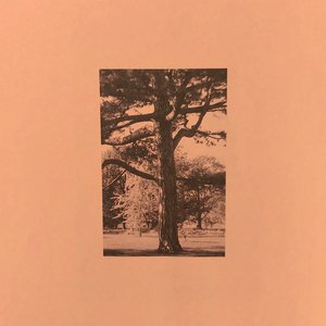 一本色道88AV精品无码笹
